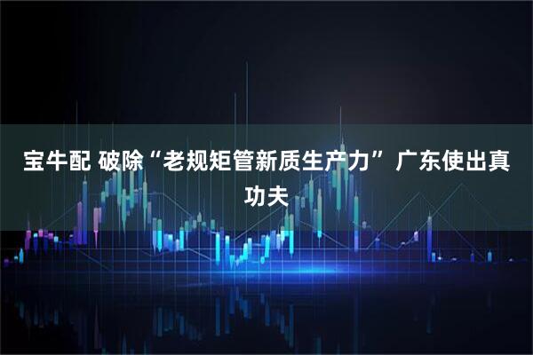 宝牛配 破除“老规矩管新质生产力” 广东使出真功夫