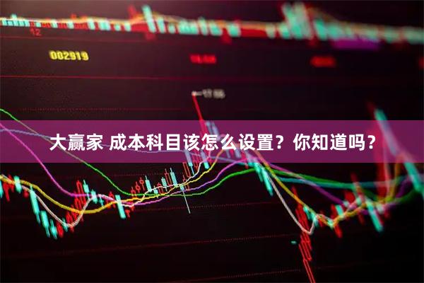 大赢家 成本科目该怎么设置？你知道吗？