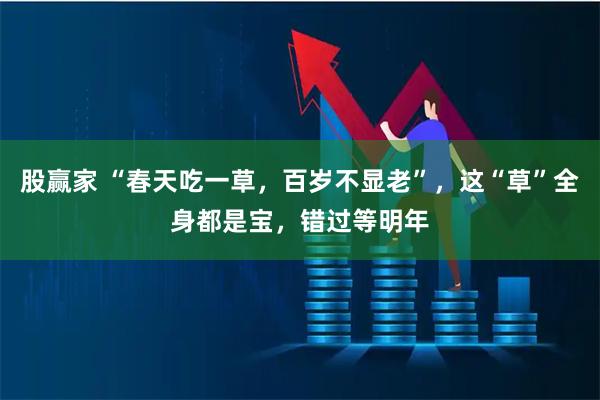 股赢家 “春天吃一草，百岁不显老”，这“草”全身都是宝，错过等明年