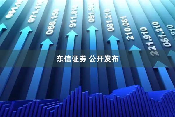 东信证券 公开发布