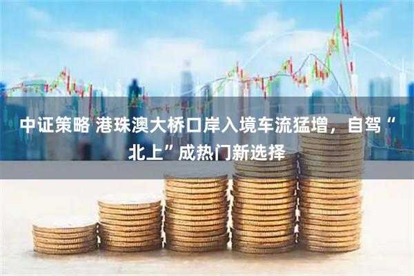 中证策略 港珠澳大桥口岸入境车流猛增，自驾“北上”成热门新选择