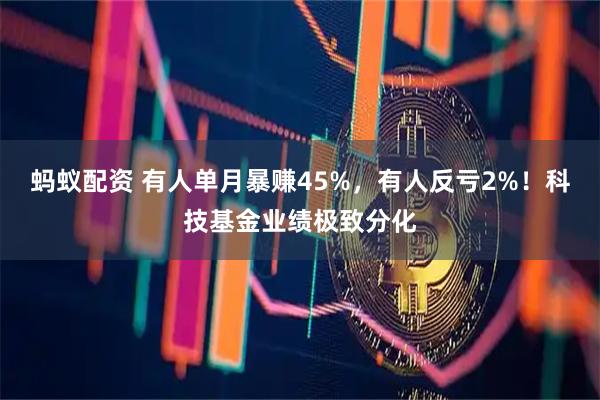 蚂蚁配资 有人单月暴赚45%，有人反亏2%！科技基金业绩极致分化