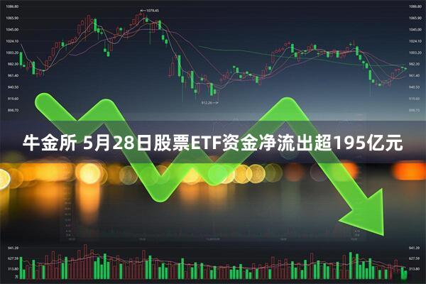 牛金所 5月28日股票ETF资金净流出超195亿元