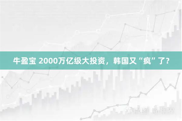 牛盈宝 2000万亿级大投资，韩国又“疯”了？