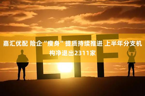 嘉汇优配 险企“瘦身”提质持续推进 上半年分支机构净退出2311家