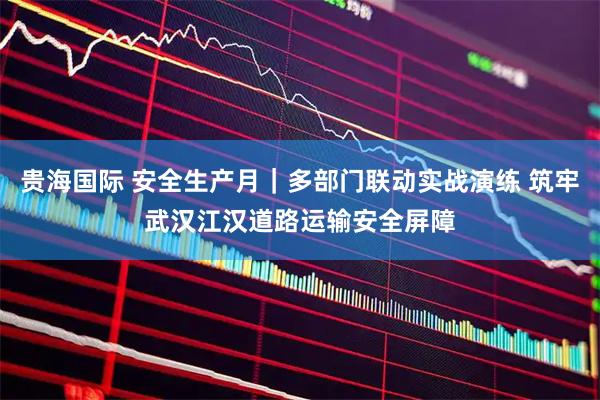 贵海国际 安全生产月|多部门联动实战演练 筑牢武汉江汉道路运输安全屏障