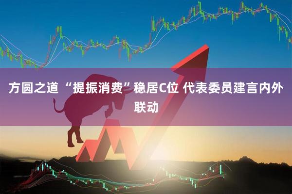 方圆之道 “提振消费”稳居C位 代表委员建言内外联动