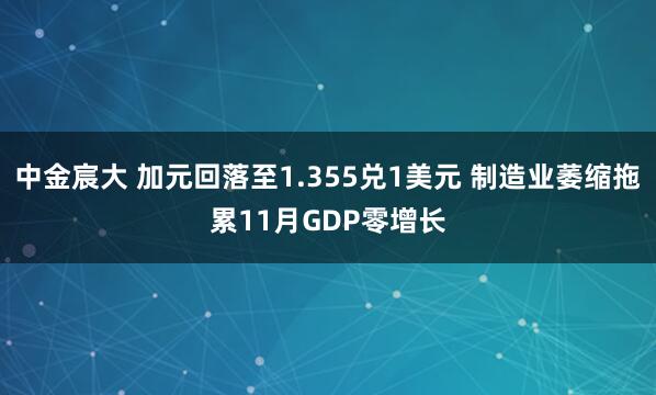 中金宸大 加元回落至1.355兑1美元 制造业萎缩拖累11月GDP零增长