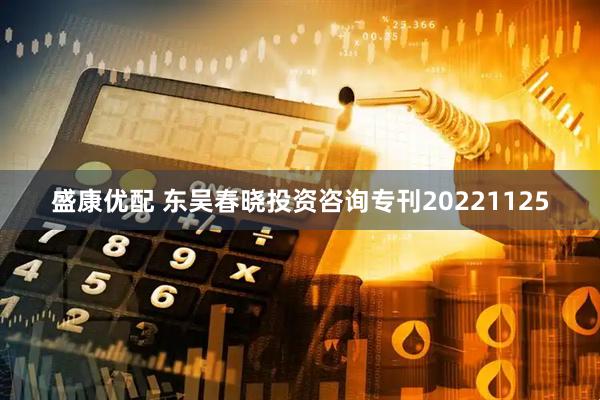 盛康优配 东吴春晓投资咨询专刊20221125