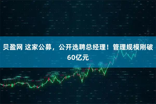 贝盈网 这家公募，公开选聘总经理！管理规模刚破60亿元
