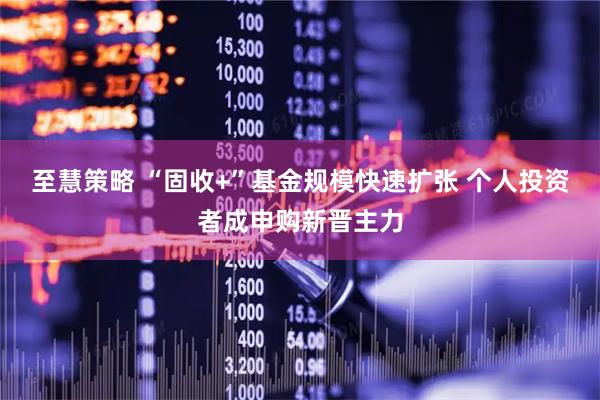 至慧策略 “固收+”基金规模快速扩张 个人投资者成申购新晋主力