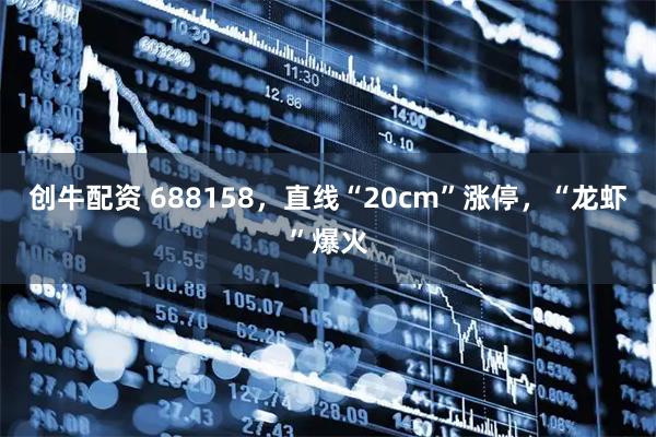 创牛配资 688158，直线“20cm”涨停，“龙虾”爆火