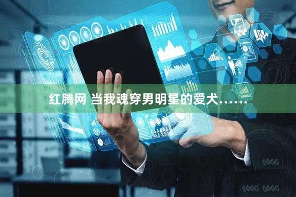红腾网 当我魂穿男明星的爱犬……