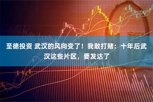 至德投资 武汉的风向变了！我敢打赌：十年后武汉这些片区，要发达了