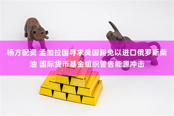 杨方配资 孟加拉国寻求美国豁免以进口俄罗斯柴油 国际货币基金组织警告能源冲击