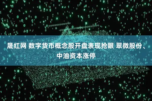 晟红网 数字货币概念股开盘表现抢眼 翠微股份、中油资本涨停