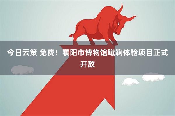 今日云策 免费！襄阳市博物馆蹴鞠体验项目正式开放