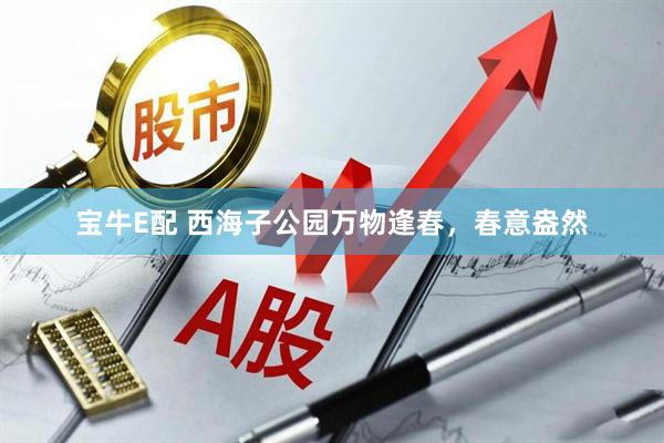 宝牛E配 西海子公园万物逢春，春意盎然