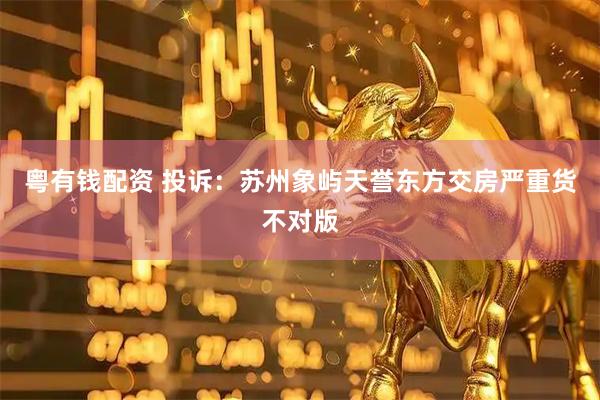 粤有钱配资 投诉：苏州象屿天誉东方交房严重货不对版